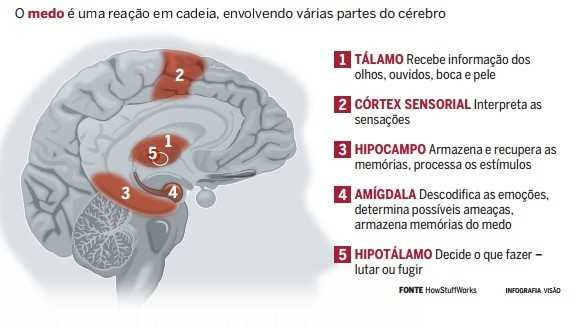 A saúde mental e o medo