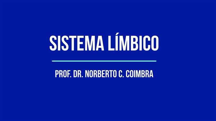 Como o cérebro processa as emoções