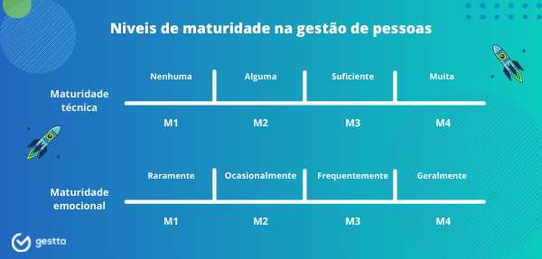 Quais são os 4 tipos de maturidade?