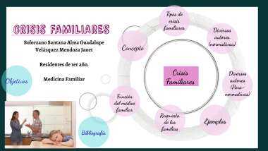 Tipos de crisis familiares pdf